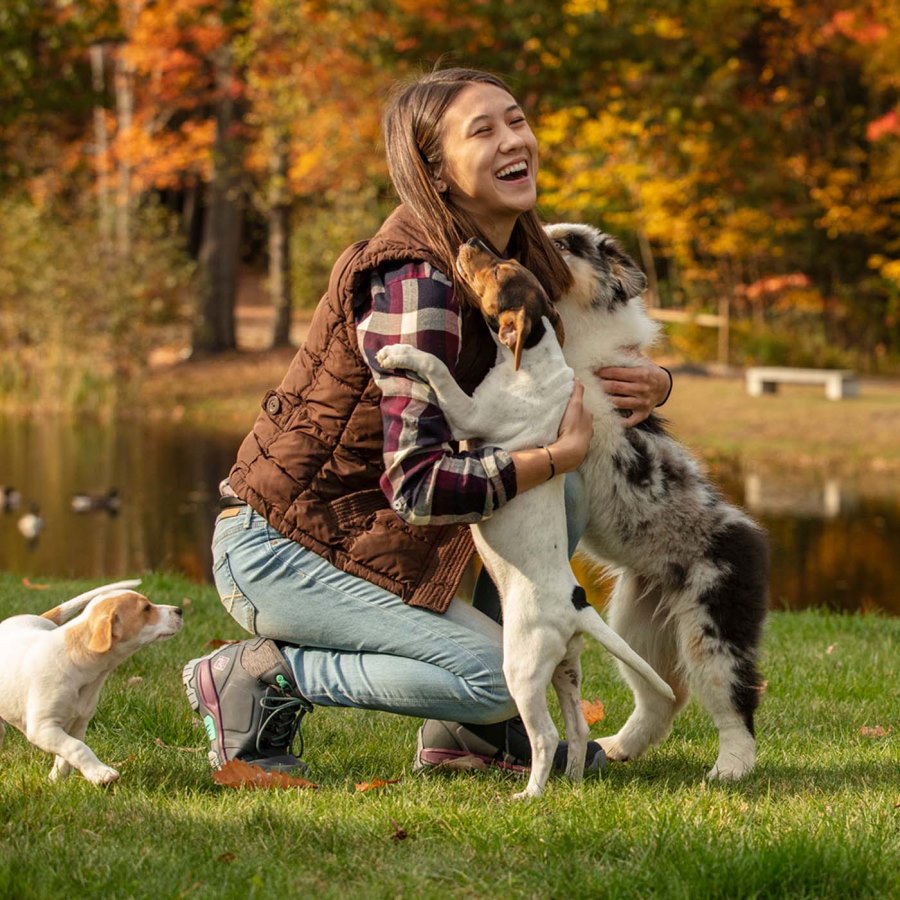 Muck Boots Apex Csipke Up Fűzős Csizma Női Szürke | AXWL101